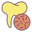 이빨 icon