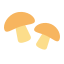 Mushrooms icon