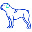 bulldog icon