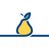 connect color style pear icon