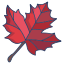 Maple icon