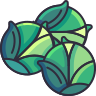brussels sprouts icon
