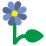 Цветок icon