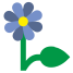 Flower icon