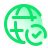 Globe Checked icon