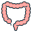 bowel icon