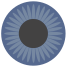 Gray Eye icon