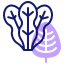spinach icon