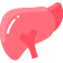 Liver icon