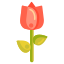 tulpe icon