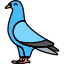 外部ハト動物フラティコン線色フラットアイコン 3 icon