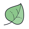 Leaf icon