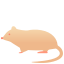 鼠年 icon
