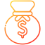 money bag icon