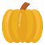 pumpkin icon