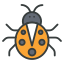 Bug icon