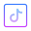 的TikTok icon