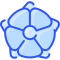 bromeliad icon