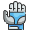 football gloves icon