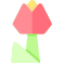 Тюльпан icon