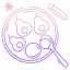 pears icon