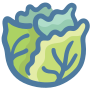 Cabbage icon