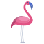 Flamant rose icon