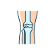 Osteoarthritis icon