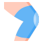 Knee Pad icon
