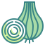 onion icon
