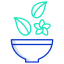 ayurvedic icon