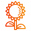 blossom icon