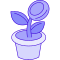 money icon
