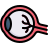 anatomy icon