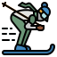 ski icon