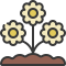 gänseblümchen icon