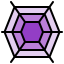 spider web icon