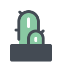 Cactus in Pot icon