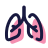 Lungs icon