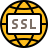 SSL icon