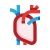 Heart organ icon