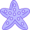 starfish icon