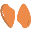 chicken breast icon