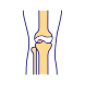 joint icon