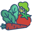 Vegetables icon