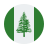 Norfolk-isola-circolare icon