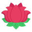 Lotus icon