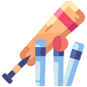 Крикет icon