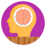 human brain icon