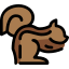 squirrel icon